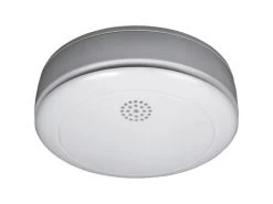 Smartwares 10.038.93 Rookmelder RM218